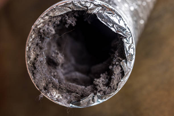 Ventilation Cleaning Services in Palm Springs North, FL